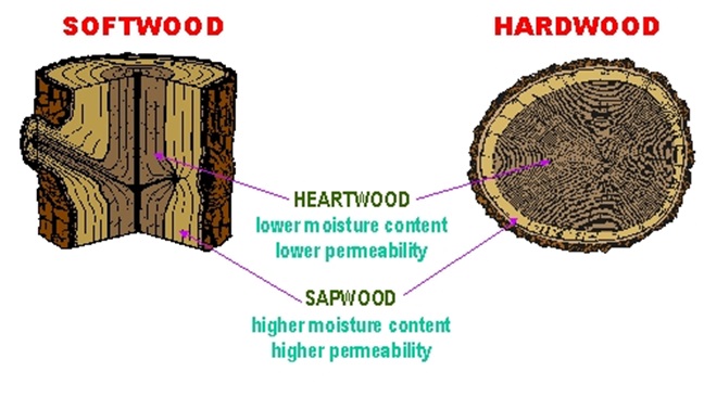 hardwood softwood characteristics timber queensland species