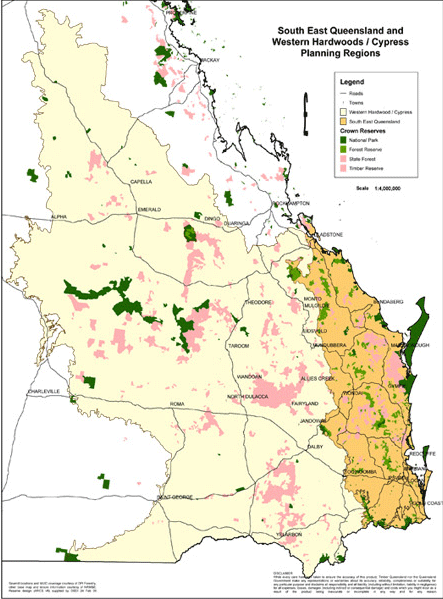 queensland forest map white mahogany queensland timber species